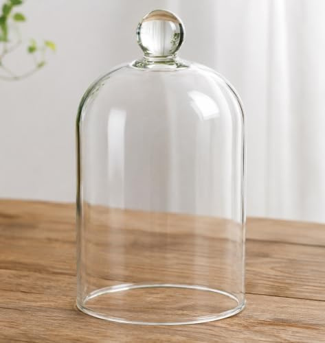 Glasglocke Glashaube Glaskuppel Glassturz Glasdom aus Glas, Klar, 20 x 10 cm