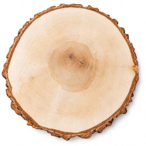 Birkenholzscheibe für DIY-Projekte & Dekoration – unbehandelt, gereinigt, naturbelassen, mit Rinde – ideal für Basteln, Gravieren, Hochzeiten & Wohnaccessoires (1er pack), 32-37cm 4cm