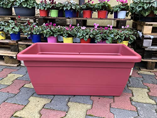 Generico FIORIERA Fioriere VASO plastica RETTANGOLARE DA 80 CM con SOTTOVASO Incluso VARI COLORI anthea da interno e da esterno AMDGarden (Rosso Mattone)