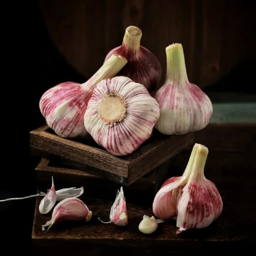 KnoblauchSamen-pflanzknoblauch,PflanzensamenSamen,geschenke für gartenliebhaberSamen,winterhartePflanzenfür garten 250pcs