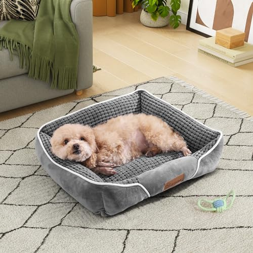 YITAHOME Letto per cani piccoli lavabile Letto per animali domestici, fondo antiscivolo, morbido e traspirante, letto morbido in velluto di mais per cani e gatti piccoli, 51x48x15cm, grigio