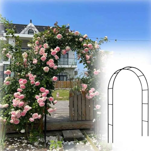 Arche de jardin en métal noir robuste pour plantes grimpantes - Grande arche de mariage - 140 cm, 180 cm, 240 cm, 120 cm de largeur - 3,5 m de hauteur x 2,2 m de largeur