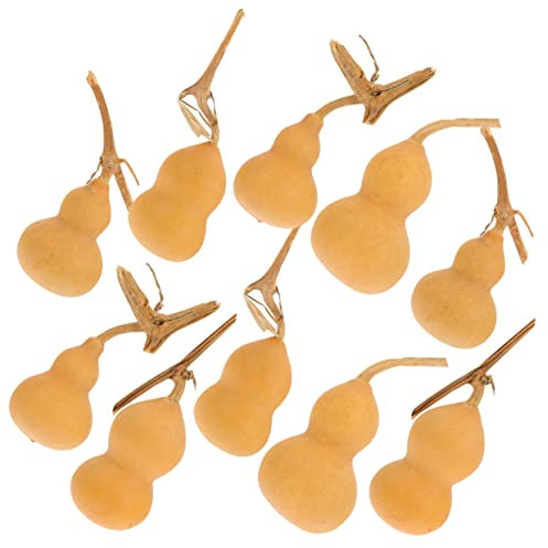 NUOBESTY Zucche Decorative in Vendita Confezione Da 10 Mini Zucche Cinesi Ornamenti in Stile Casuale