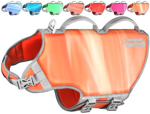 VIVAGLORY Hunde Schwimmweste Neoprene Hundeschwimmweste, XL, Zesty Orange | Verstellbar & Auftrieb for Hunde, Schwimmweste Hundeweste Schwimmen Rettungswesten zum Schwimmen