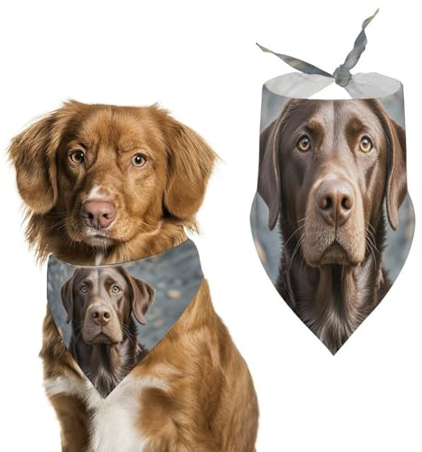 Braune Labrador Retriever-Hundehalstücher, verstellbares Lätzchen, Party-Haustier-Dekorationen, niedlicher Hunde-Dreieckstuch für kleine, mittelgroße Welpen, Katzen, Kostüm-Zubehör
