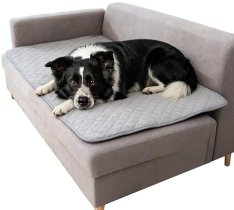 100x150 CM wasserdichte Hundedecke, Hellgrau Hundedecke Outdoor Sofaschutz Hund Hundematte Rutschfest Waschbar Hundedeckes für Unterwegs Wasserdichte Decke für Sofa Bett Auto Hunde Katzen Haustiere