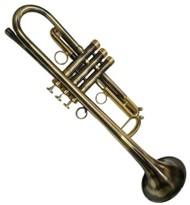 B Trompete Instrument für Anfänger und Profis