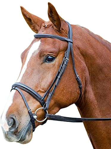 Aviemore - Zaumzeug Comfort Fit, Leder (Kleines Pony) (Schwarz)