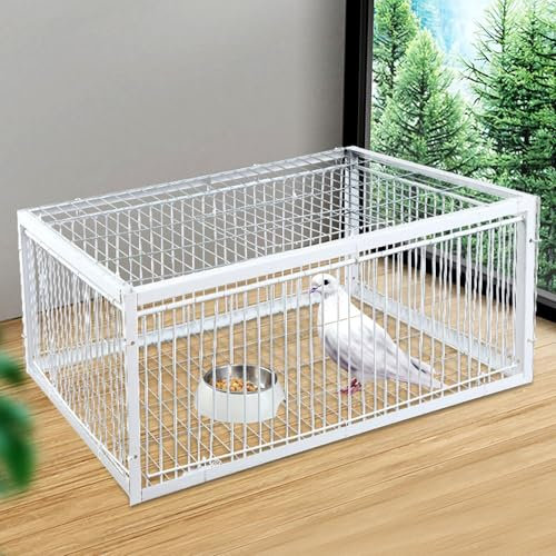 MBBTAG Cage Piège À Poulets Et Oiseaux, Piège À Oiseaux Automatique, Piège Pigeon, Anti Pigeons Pour Balcon, 4 Conception D'une Entrée À Sens Unique, Piège À Moineaux, Piège À Oiseaux Anti-fuite(Blanc