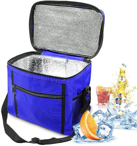 Kühltasche Faltbar,10L Kühltasche Picknicktasche, Mini Isolierte Thermo Lunch Tasche, Kühltasche Eistasche, Kühlbox für Picknick für Büro Arbeit Reisen 27 x 17 x 24 cm Blau