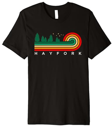 Evergreen Vintage Stripes Hayfork, California Premium Tri-blend T-Shirt