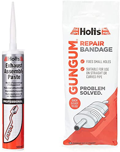 Holts LOYPRO29A Pro Cartridge Professional Exhaust Assembly Paste, 300 ml & Gun Gum Repair Bandage