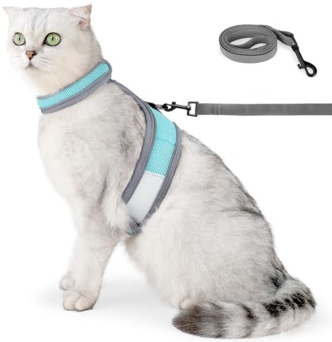 Katzen Geschirr Set mit Leine, Night Reflection Katzen Netz Jacke, Atmungsaktive Netz Weste für Kleine, Mittelgroße und Große Kätzchen