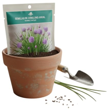 Cebollino en Maceta con Semillas Seleccionadas DECOALIVE