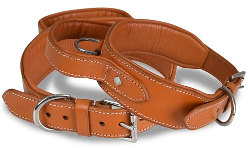 DowgClub | Taktisches Hundehalsband mit Griff | Echtes Leder in Sattelqualität, strapazierfähig, bequem, gepolstert, stark, ideal für mittel, große, XL-Rassen (M (Halsumfang 37-47cm), Héllbraun)