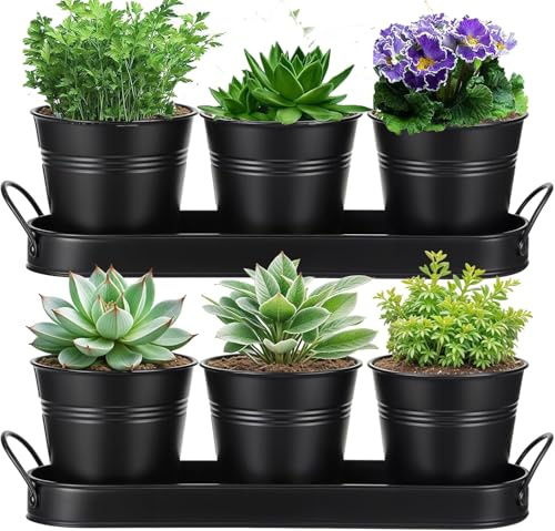 BSTMOME 2 Sets of 3x Herb Pot Planter Holders with Tray, Decorative Metal Flower Pot Succulent Pots Windowsill Planter Pots for Kitchen Grow Indoor Garden Outdoor Use (Black)