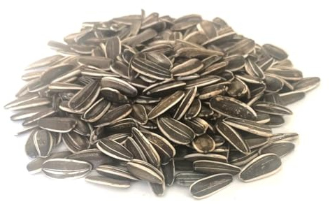 2kg Medium Sunflower Seeds Cage Bird Food