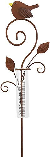 Dekoleidenschaft Piquet de Jardin en métal au Design rouillé, avec pluviomètre en Verre, Mesure des précipitations, Prise décorative, Piquet de Parterre, décoration de Jardin
