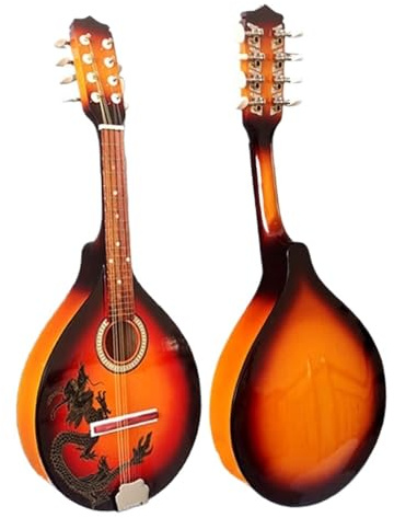 Mandoline Instrument Set Für Anfänger Mandoline Anfängerinstrument Für Erwachsene Mandoline Diskantinstrument Mit Acht Saiten Schönes Aussehen