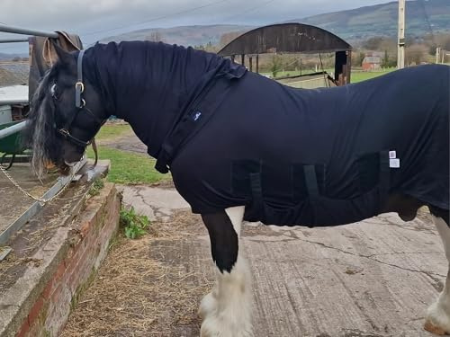 Abschwitzdecke mit Halsteil für Pferde | Voller Bauchschutz, Abnehmbares Halsteil und XL-Schweifschutz | Premium Qualität von Snuggy Hoods | 3 Farben, 14 Größen