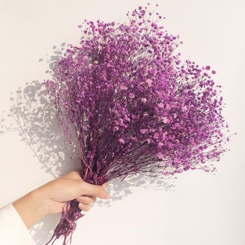 40cm Schleierkraut getrocknet 80g Natürlich Gypsophila Trockenblumen Blütenknospe Echt Trockenblumenstrauß für Hochzeit Brautsträuße Vasen Pampasgras Deko (Lila)