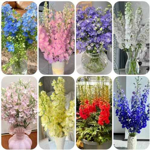 rittersporn, bodendecker herbstblumen winterhart alte sorten gartendeko für draußen schnittblumen garten balkonpflanzen schmetterlingswiese 400samen