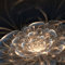 Ceanothe Tableau sur verre fleur de lumière 30x30 cm - Impression Image Haute Définition Pour Décoration Murale avec Finition Brillante Fabriqué en France