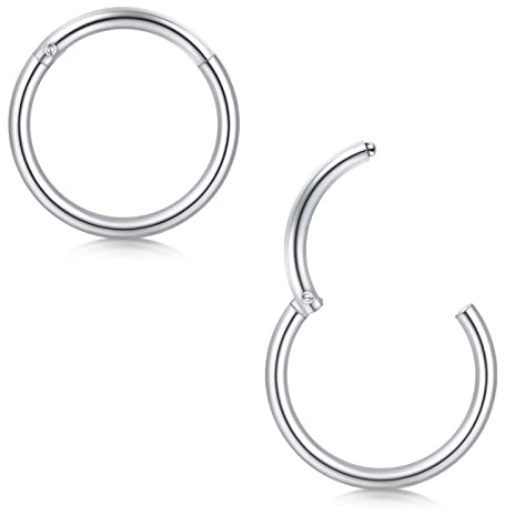 Briana Williams 2stk Segmentring Clicker Piercing Nase Septum Ohr Helix Tragus Daith Ring Chirurgenstahl 20G 18G 16G