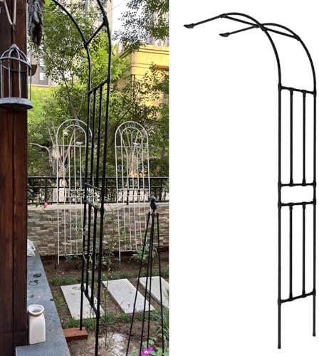 Arche de jardin en métal noir à fixation murale en acier noir pour plantes grimpantes, pergola, treillis, design demi-côté, 100 cm x 4 m x 2 m