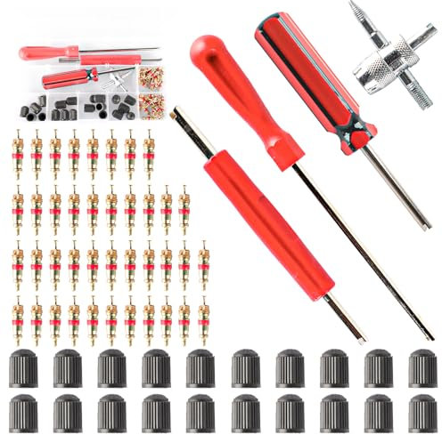 ktxaby 64Pcs Reifen Ventilkern Entfernungswerkzeug,Ventilschlüssel Autoventil enthält 40 Stück Ventilkerne,20 Stück Ventilkappen,EIN 4-Wege-Ventilwerkzeug,3 Stück Ventilkern Entferner