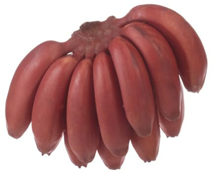 bananensamen garten hochbeet säulenobst pflanzendeko baumsamen obstsamen spalierobst winterharte stauden mehrjährig hochbeete für garten bananenpflanze winterhart obstbäume 150samen
