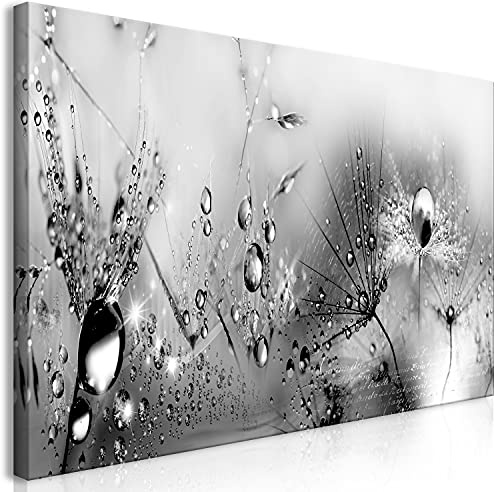 murando Wandbild Mega XXXL Pusteblume Einteiliger XXL-Format Kunstdruck zur Selbstmontage Leinwandbilder moderne Bilder DIY Wanddekoration Wohnung Deko Natur Wassertropfen