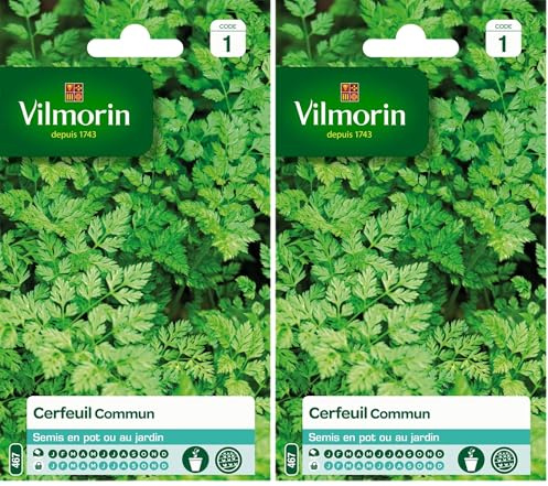 Vilmorin 3235044 Cerfeuil commun, Vert, 90 x 2 x 140 cm (Lot de 2)