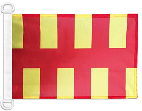AZ FLAG Northumberland county Boat Flag 45x30 cm Plastic Rings | Outdoor and marine use 12x18 in boat flag weather resistant with double stitched seams and reinforced edges mesh polyester