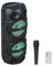 Party Light & Sound - Pluton - Enceinte, Baffle de 2 x 8”/20cm de 300W sur Batterie Rechargeable - Effet Lumineux - 1 Micro Filaire et 1 télécommande - Bluetooth, USB, Micro SD et TWS - Noir