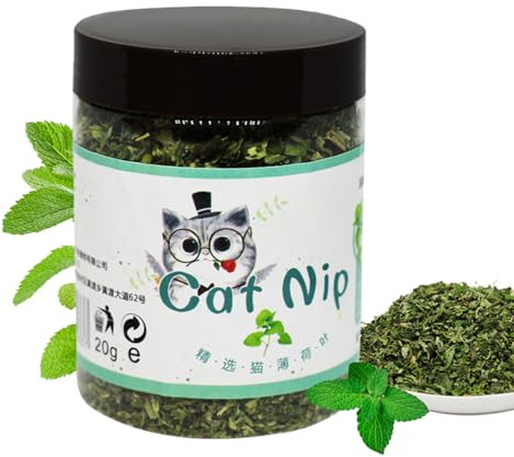 Nuhjytgf Organic Catnip | Catnip for Cats & Kittens,Calming Safe Safe Flavor Entertainment for Indoor Kitten Treat Needs Supplies Kit