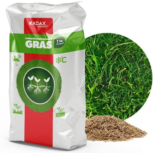 Graine de gazon KADAX, graine de gazon, herbe à croissance rapide, granulés de gazon, graine de gazon à germination rapide, graine de gazon, graine de gazon résistante au gel, pelouse (1 kg)