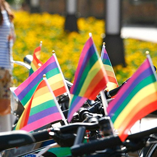 Cymwer Lot de 12 petits drapeaux de fierté de 21 x 14 cm - Pour LGBTQ - Drapeau de progrès Gay Pride - Drapeau de fierté assexuelle bisexuelle pour fête défilé, carnaval, festival