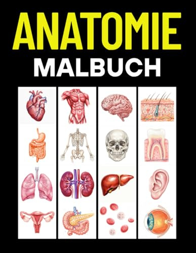 Anatomie Malbuch: Menschlicher Körper und Anatomie des Menschen für Medizinstudium, Physiotherapie und Biologie Anatomie Physiologie