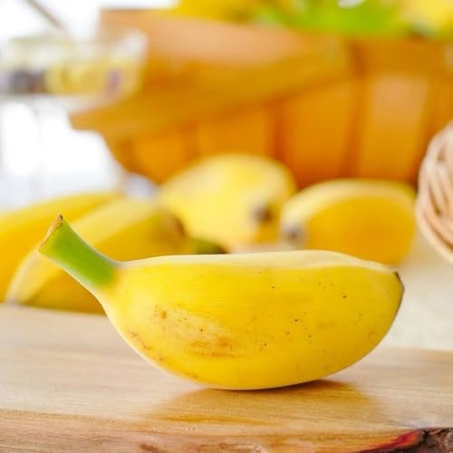 semillas de plátano de plátano, orgánicas, variedades antiguas resistentes del plátano, Las de jardín son perennes resistentes. 100pcs
