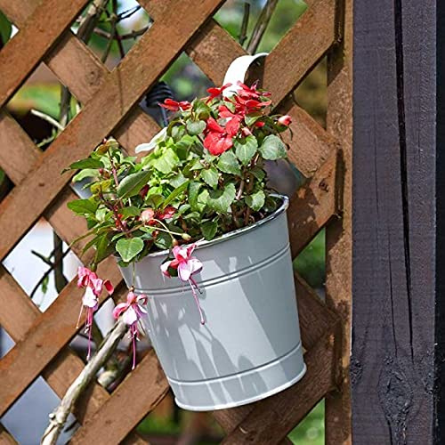 Smart Garden Classic Fence & Balcony Hanging Pot 6� - Ivory