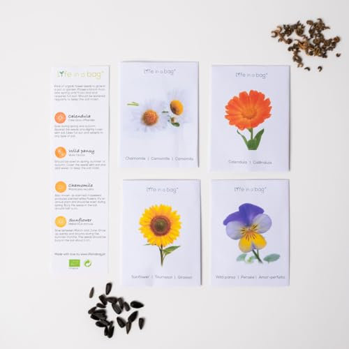 Set di 4 varietà di semi di fiori. Calendula, Pensiero, Girasole, Camomilla. Semi di fiori biologici