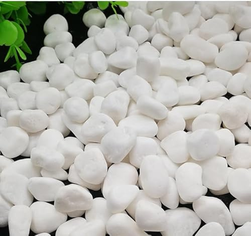 VIFFER Dekorative Steine, Weiß Kieselsteine Klein Deko Steine für Pflanztöpfe Garten Balkon Aquarium (1-2cm)