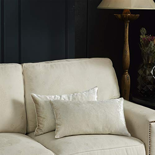 GIGIZAZA 2er Set Samt Kissenbezug Cremefarben Dekokissen Lendenkissen Dekorative Kissenhülle Weich Sofakissen Zierkissen deko für Sofa Wohnzimmer Schlafzimmer 30x50 cm