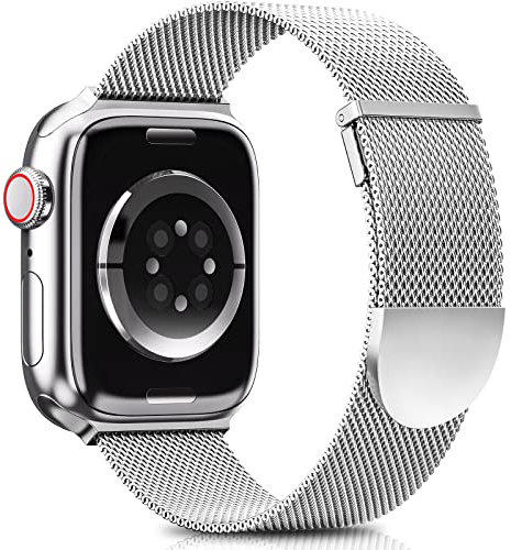 Higgs Ersatzarmband Kompatibel mit Apple Watch Armband 46mm 45mm 44mm 49mm 42mm Damen/Herren, Dual Magnetisch Einstellbar Armbänder für iWatch SE Series 10 9 8 7 6 5 4 3 2 1, Silber Edelstahl Metall