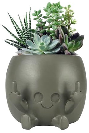 CMANLNYK Funny Plant Pot with Fingers Up - Novelty Resin Smile Succulent Flower Pots, Cute Small Smiley Face Plant Pot for Indoor Outdoor Garden, Gifts for Lovers Home Table Decor (Grey)