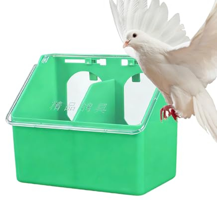 para Aves Exterior - Bowl Grande Impermeable - de Alimentos para Aves y Palomas - para Periquitos Codorniz Gallinas Loros De Corral Jardin Jaula Interior Exterior Granja