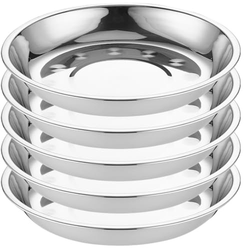 Zerodeko Lot de 5 assiettes de service en acier inoxydable pour barbecue | Assiettes rondes en acier inoxydable de 25 cm (10 pouces), idéales pour les repas, le camping, les barbecues et les activités