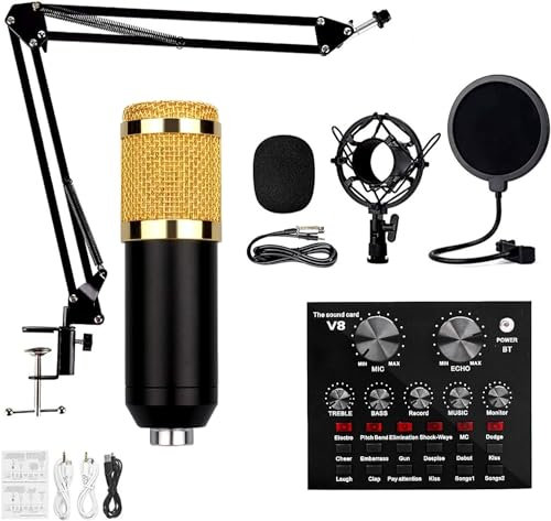 LwsCUiH Alta qualità del Suono Kit Microfono a condensatore, Scheda Audio dal, Mini Scheda Mixer con Suoni Multipli for podcasting, Registrazione