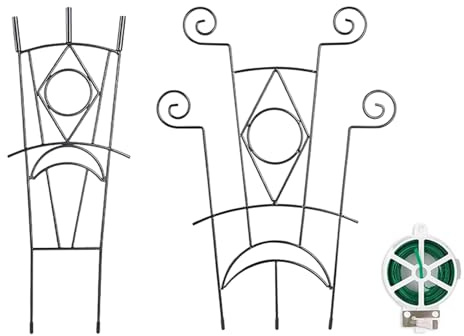 Rankhilfe für Kletterpflanzen Indoor - 2-teilige Metall-Blumenstütze,Pflanzenstütze für Blumentöpfe - für Wohnung, Balkon, Terrasse, Haus, Garten, Wintergarten, Hof